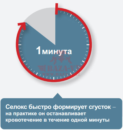 Гранулы Селокс Medtrade™ (15гр)