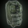 Штурмовой рюкзак 30 литров Westrooper LURK Pack WTP50-1010B (Olive)